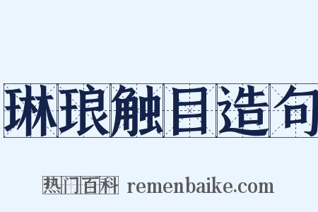 琳琅触目造句是什么意思的图片